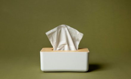 Lembaran Tisu Ini Memiliki Proses Dalam Pembuatannya