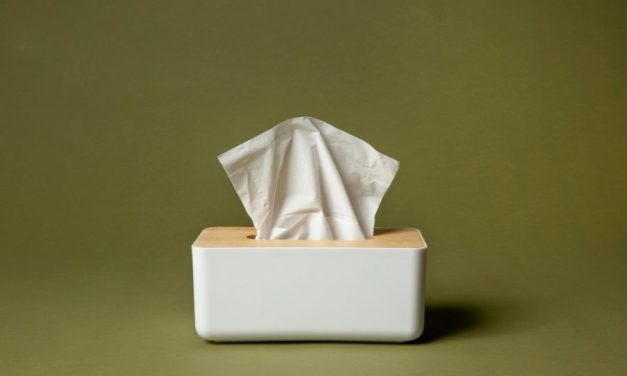 Lembaran Tisu Ini Memiliki Proses Dalam Pembuatannya