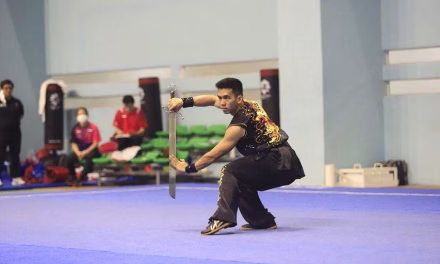 Olahraga Wushu Seni Bela Diri Tradisional Tiongkok