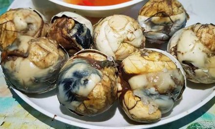 Makanan Viral Balut Telur Setengah Jadi