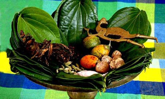 Tradisi Mengunyah Sirih Dengan Campuran Kapur Serta Lainnya