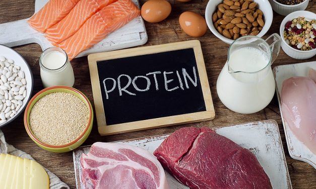 Sebuah Zat Gizi Protein Dari Beberapa Makanan
