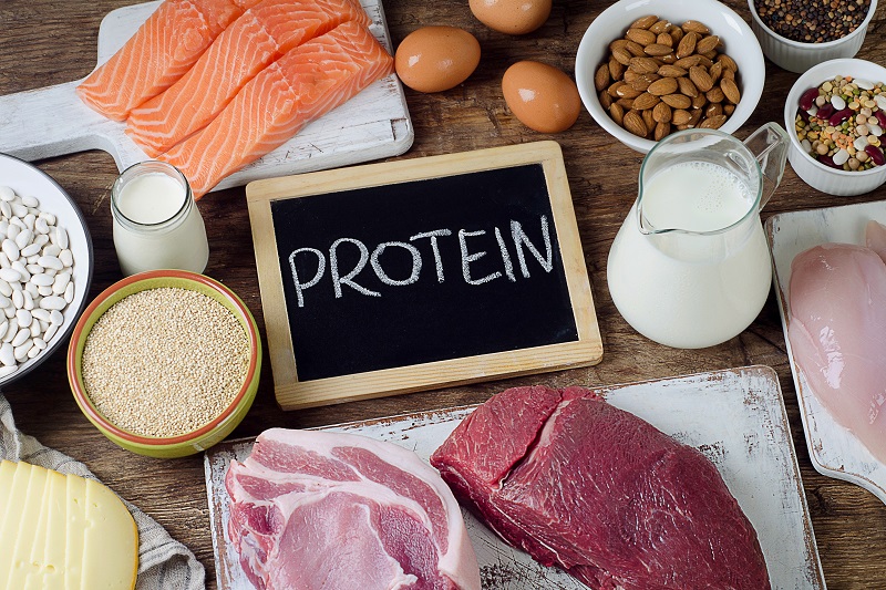Sebuah Zat Gizi Protein Dari Beberapa Makanan
