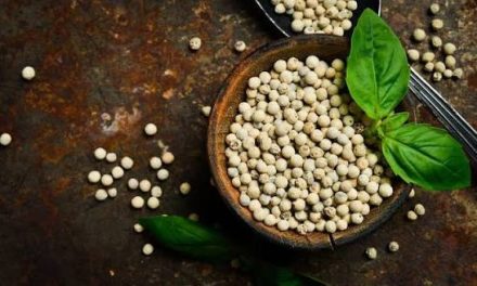 Suatu Rempah Lada Yang Sangat Terkenal Di Masakan